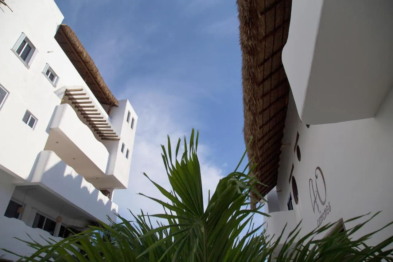 Apartments 40 Canones Mahahual Mexico